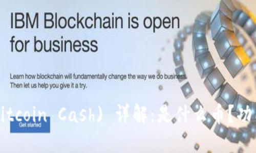 比特现金 (Bitcoin Cash) 详解：是什么币？功能与未来展望