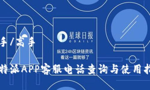 高手/高手

比特派APP客服电话查询与使用指南