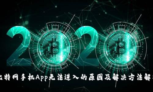 比特网手机App无法进入的原因及解决方法解析