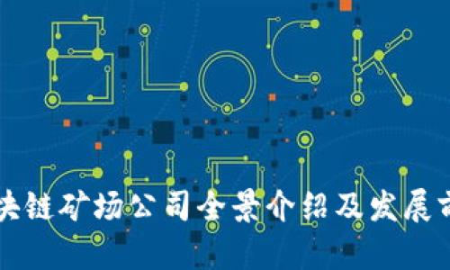 新疆区块链矿场公司全景介绍及发展前景分析