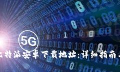 如何正确设置比特派安卓下载地址：详细指南与