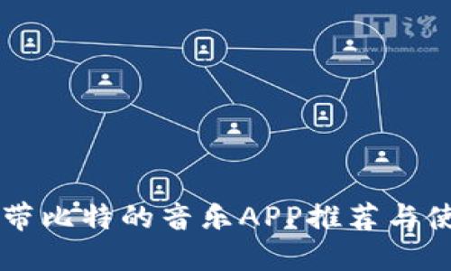 国内外带比特的音乐APP推荐与使用指南